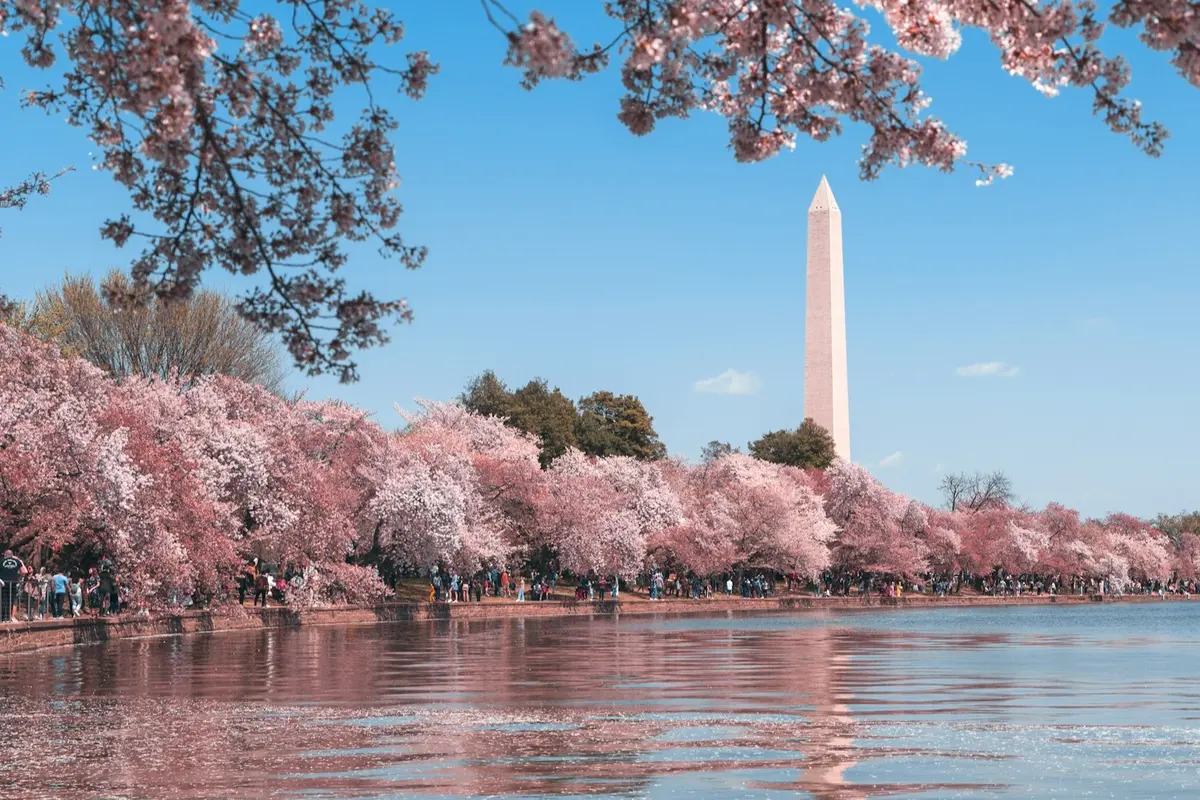 Washington DC