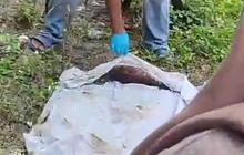 Bukan Mayat Bayi, Bungkusan Kain Kafan di Atas Kuburan Bikin Geger Warga Ternyata Berisi Ayam Mati