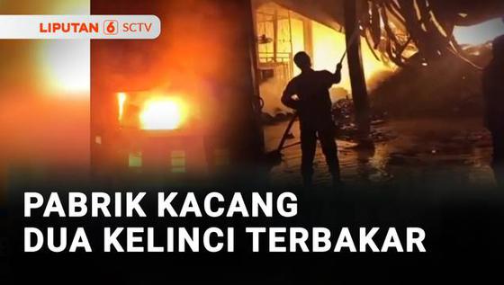 Dua Gudang Pabrik Kacang Dua Kelinci Terbakar