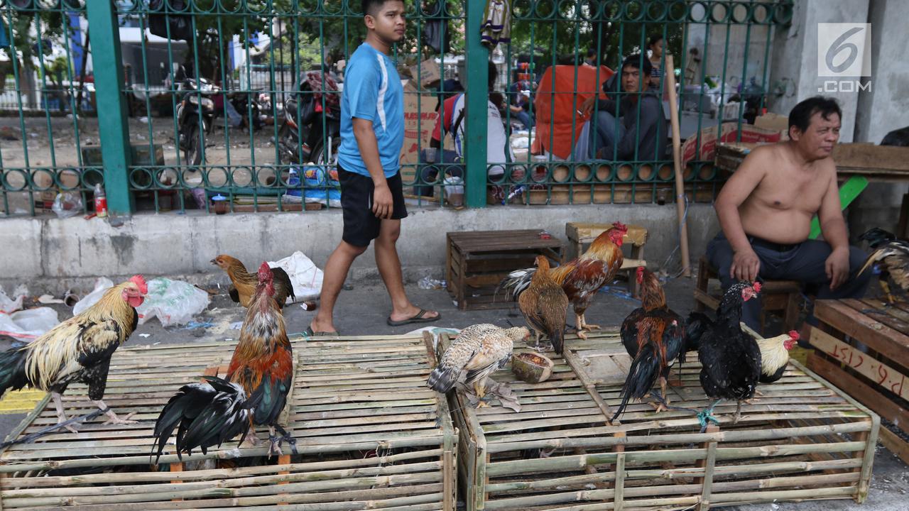 Jelang Lebaran, Para Pedagan Ayam Mulai Ramai di Pinggir Jalan