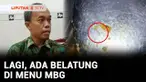 Makan bergizi gratis terus jadi sorotan, setelah ratusan siswa keracunan massal usai mengkonsumsi paket MBG, kini ditemukan belatung di dalam paket makan bergizi gratis.