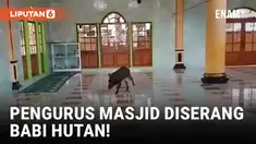 Geger! Babi Hutan Masuk Masjid saat Diburu Warga