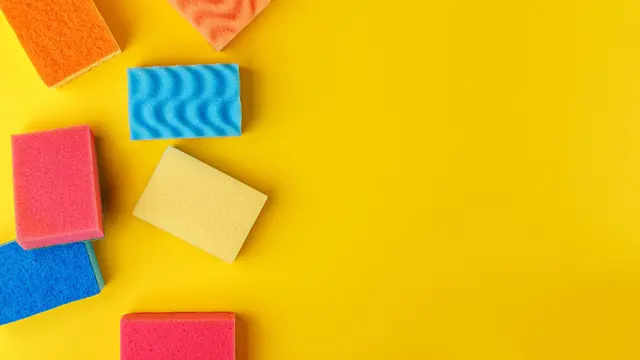 Ilustrasi spons makeup