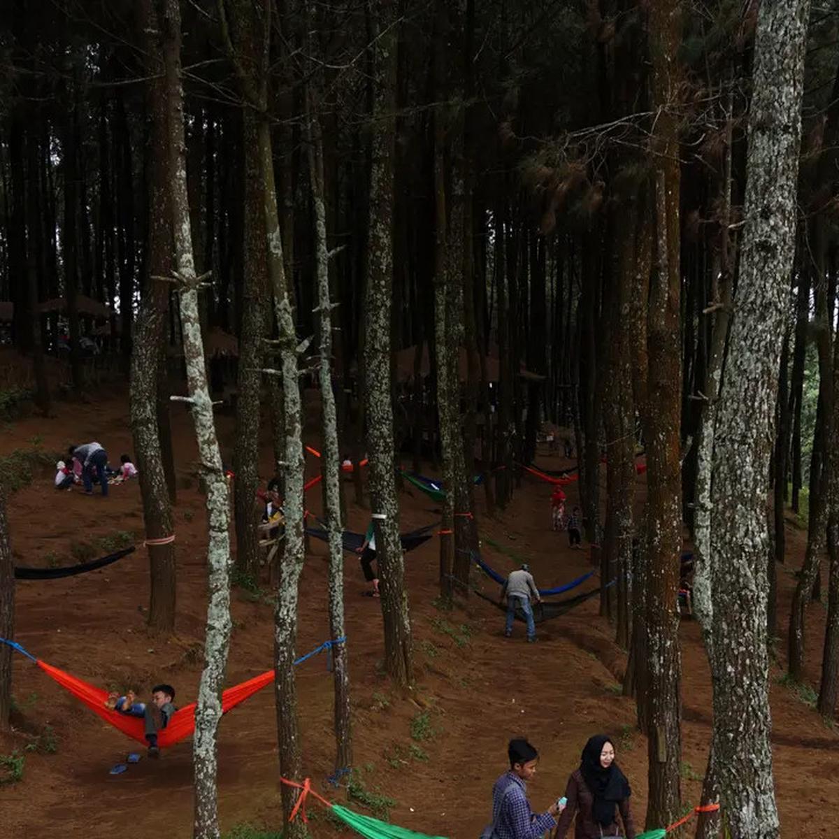 Area camping favorit di Gunung Burangrang Purwakarta