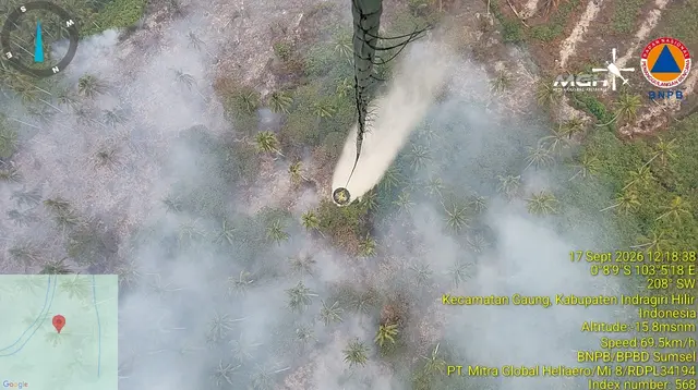 BNPB Ungkap Kendala Pemadaman Kebakaran Hutan dari Udara