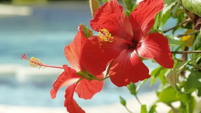 Photo: Copyright Thinkstockphotos.com