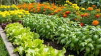 9 Inspirasi Desain Taman Edible Garden Buah dan Sayur di Rumah yang Produktif dan Estetis