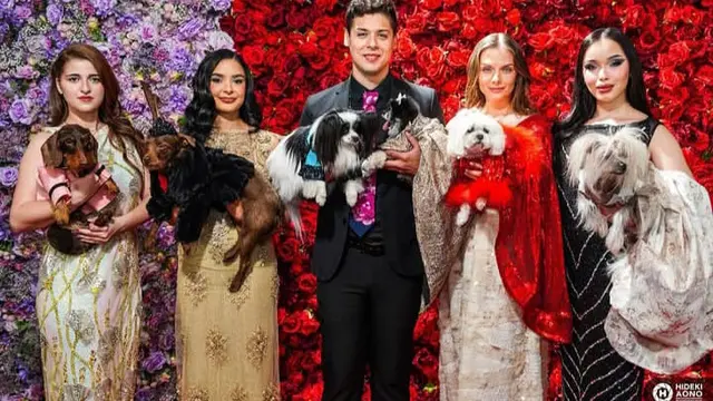 Pet Gala New York Padukan Fashion Glamor dan Misi Sosial