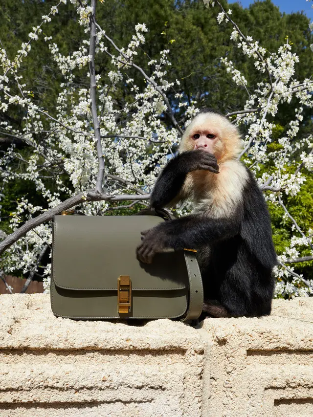 Kampanye Saint Laurant Winter 2019 - 2020