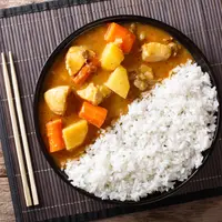 ilustrasi resep japanese curry/Sergii Koval/shutterstock