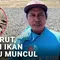 Sungai Surut, Hamparan Ikan Sapu-Sapu Muncul