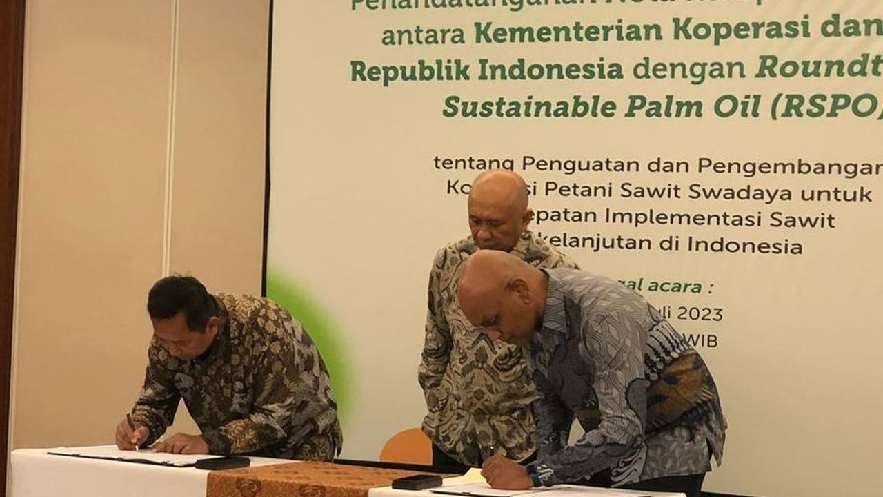 Adapun dengan kerja sama bersama RSPO, Teten berharap kesejahteraan petani sawit di Indonesia bisa meningkat, tidak hanya menjual TBS pada industri tapi mereka bisa mengolah sendiri sampai minyak makan merah.