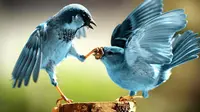 Twitter Bisa Digunakan Untuk Prediksi Kejahatan