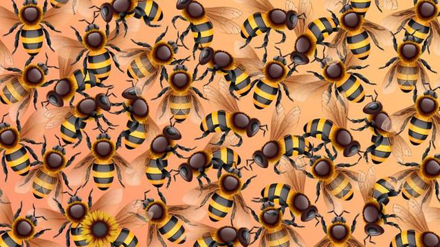 Tes Kejelian Mata: Temukan Objek yang Berbeda Dalam 10 Detik