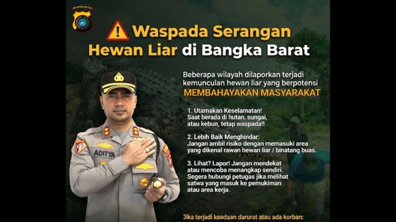 Polres Bangka Barat Rilis Peta Lokasi Rawan Buaya, Warga Diminta Waspada