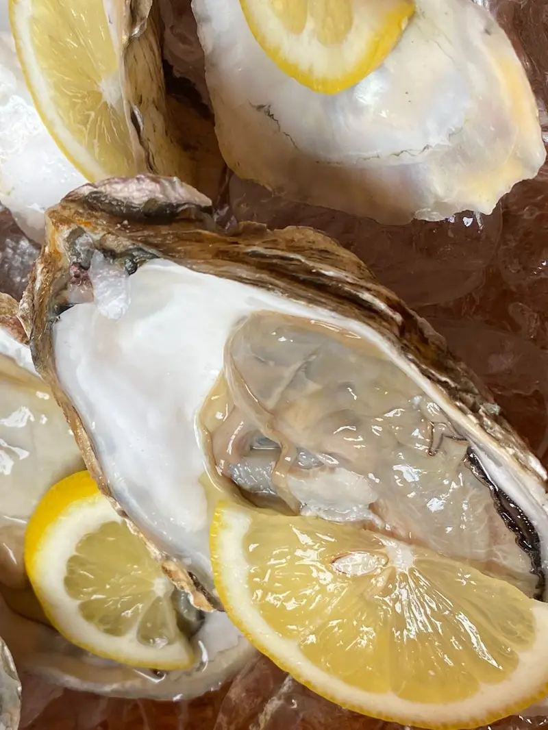 Nikmatnya Oyster di Oyster Dealer Jakarta, Kaya Protein Rendah Kalori