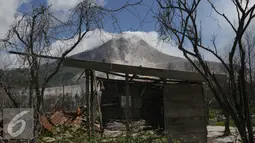 Rumah milik warga hancur terkena abu vulkanik Gunung Sinabung di Desa Sibintun, Sumatera Utara, Minggu (5/7/2015). Letusan yang terjadi dari 2013 sampai saat ini mengakibatkan puluhan ribu jiwa mengungsi. (Liputan6.com/Johan Tallo)