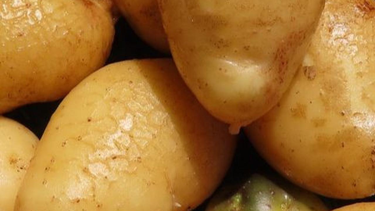 Manfaat Kulit Kentang Bagi Kesehatan, Tingkatkan Imun hingga Mencegah Kanker