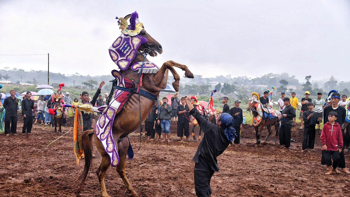 Horse Festival 2025 Dibuka, Wagub Jabar Dorong Percepatan Infrastruktur Pacuan Kuda Sumedang