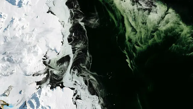 Es yang berubah warna menjadi hijau di Laut Ross, Antartika
