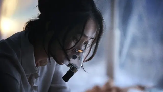 Flu (2013)