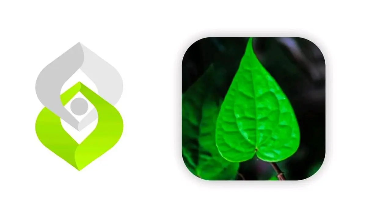 Filosofi Daun dalam Logo Hari Santri Nasional 2022