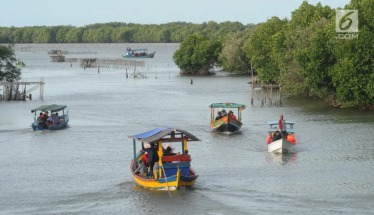 Perahu wisata melintasi kawasan hutan mangrove di Wisata Mangrove, Tarumajaya, Bekasi, Minggu (30/12). Wisata yang berbatasan dengan kawasan Marunda Jakarta Utara awalnya merupakan Pusat Restorasi dan Pembelajaran Mangrove. (merdeka.com/Arie Basuki)