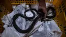 Petugas melakukan proses packing ular hidup di salah satu perusahaan eksportir di Surabaya, 13 Februari 2019. Sebanyak 800 ekor ular jali dari Indonesia dalam keadaan hidup dikirim ke Guangzhou, China via udara. (Juni Kriswanto/AFP)