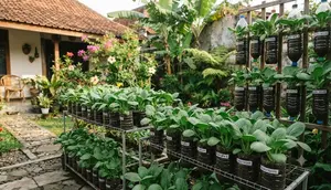 Cara Menanam Pakcoy di Botol Bekas agar Daunnya Lebat, Langkah Mudah yang Membuat Panen Lebih Cepat
