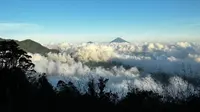 Pemandangan dari atas Gunung Tapak di Bali. (Dok: IG https://www.instagram.com/p/C1E2ipLhvBQ/?igsh=MTcxZGJ0ZmY4ajM2bg==)