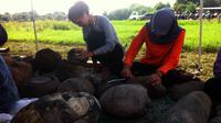 Kegiatan membersihkan benda peninggalan sejarah di Situs Pejambon, Cirebon, Jawa Barat, Minggu (26/6/2016). (Liputan6.com/Panji Prayitno)