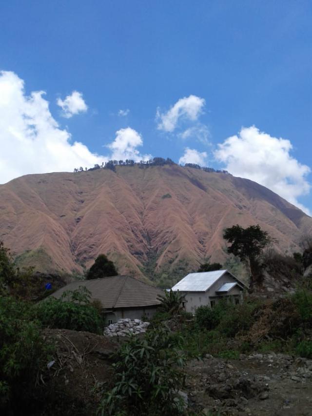 Bukit Pergasingan di Sembalun, Lombok Timur, NTB