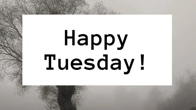 Tuesday