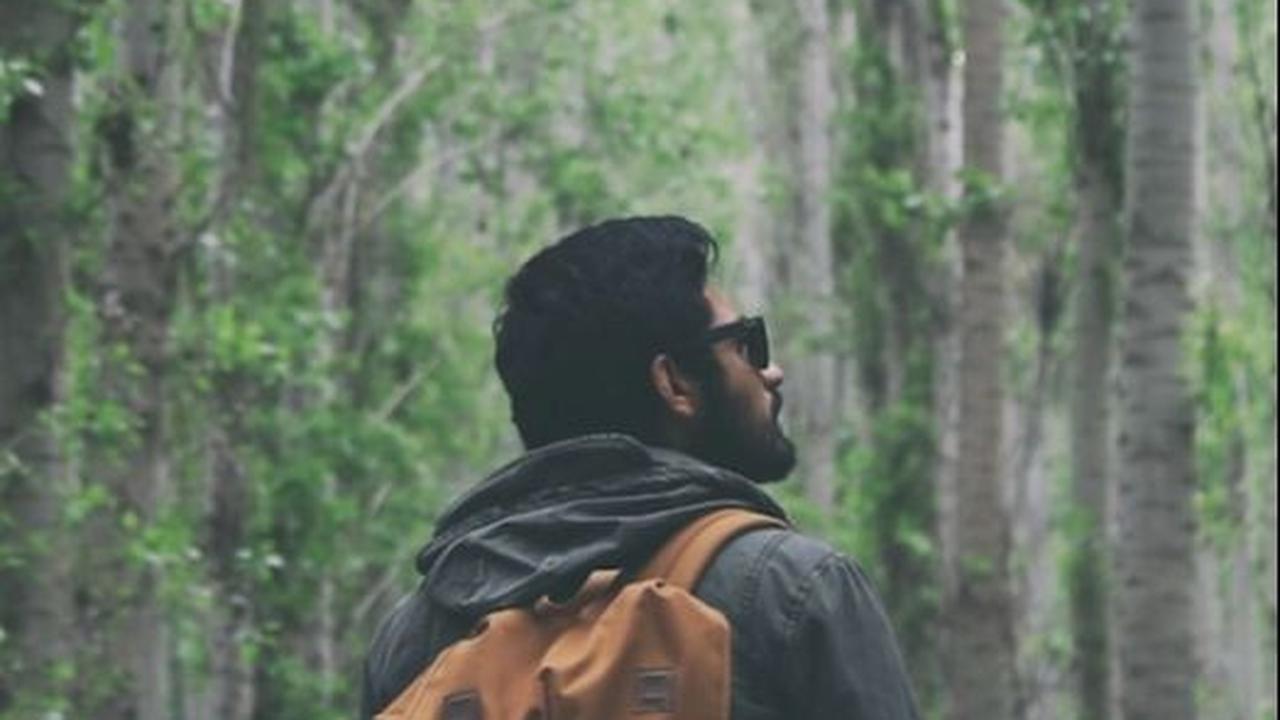 5. Shinrin-yoku (Forest Bathing)
