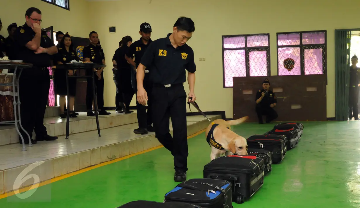 Petugas satuan K-9 Dirjen Bea Cukai Kementerian Keuangan melakukan demo pelacakan saat menerima kunjungan kehormatan Menteri Imigrasi Australia, Peter Dutton di Jakarta, Kamis (19/11/2015). (Liputan6.com/Helmi Fithriansyah)
