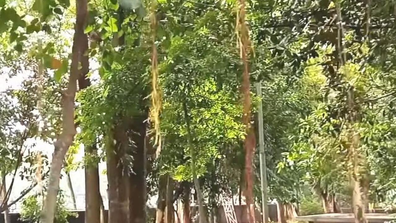 Sekitar pukul 16:00 WIB, para ABG ini mulai berkumpul. Ada yang bersama teman maupun sendiri. Mereka sekedar berfoto, membuat video dan mengabadikan kereta api yang melintas.<br><br>Gambar Taman Sri Baduga/ Youtube Demen Vlog
