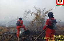 Manggala Agni Berhasil Padamkan Karhutla 5 Hektare di Inhu Riau