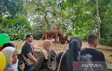 Guru Besar Unpad hingga Terdakwa Korupsi Gugat Pengelolaan Bandung Zoo, Ada Apa?