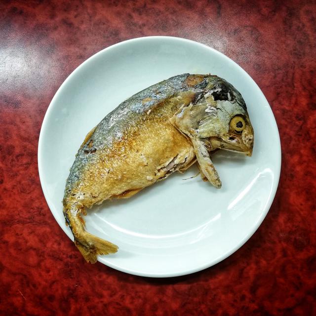 Ilustrasi ikan tenggiri