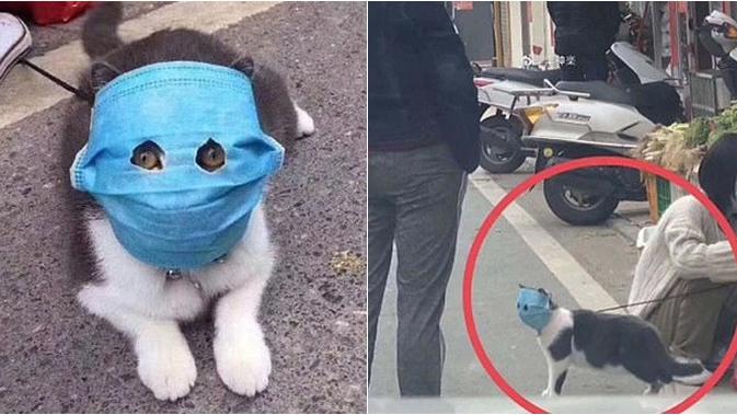 Hewan memakai pelindung untuk cegah virus corona (Sumber: Weibo)
