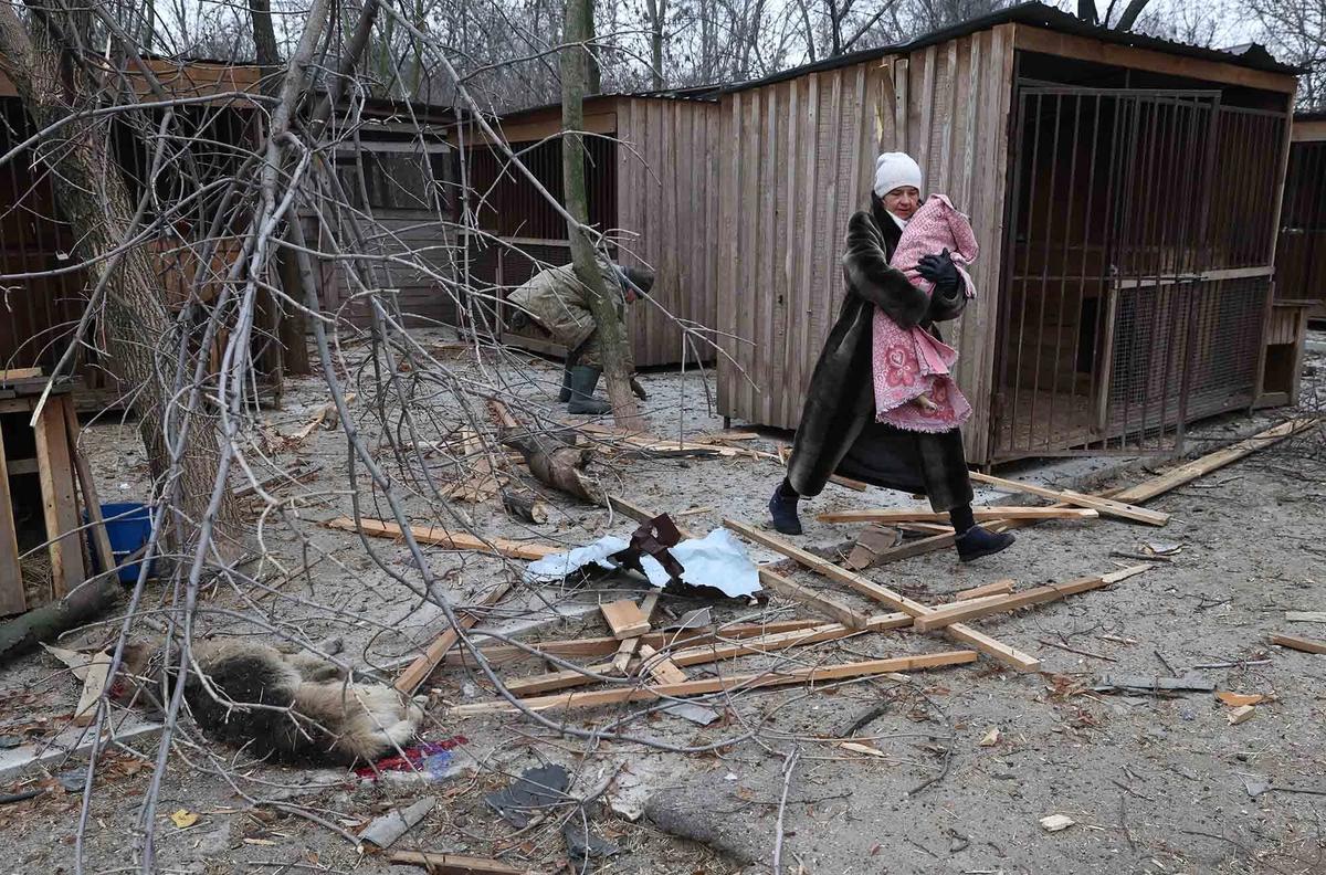 FOTO: Evakuasi Anjing Terluka Usai Serangan Rusia Hantam Penampungan Anjing Liar