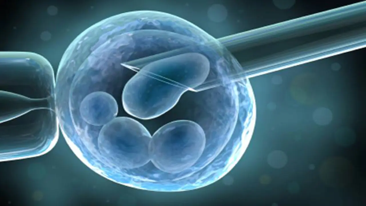 Amankah Prosedur Stem Cell?