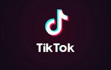 Mahasiswa UGM Teliti Pengaruh Tiktok Terhadap Kemampuan Membaca Bagi Pelajar, Begini Hasilnya