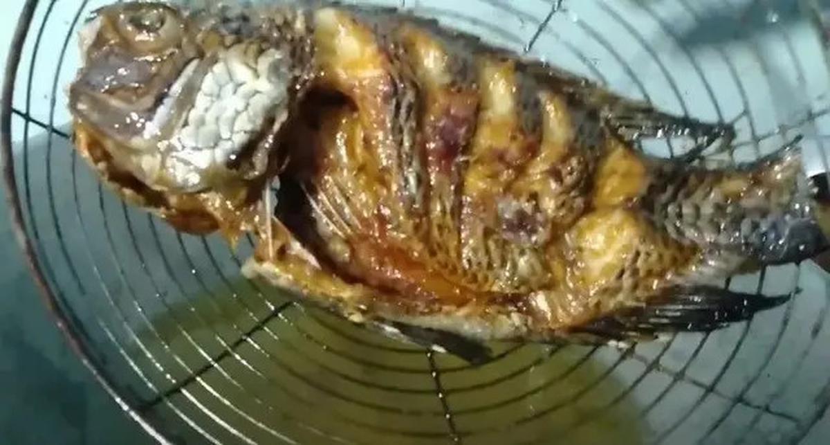 Trik Goreng Ikan yang Tidak Lengket dan Minyak Tetap Bersih