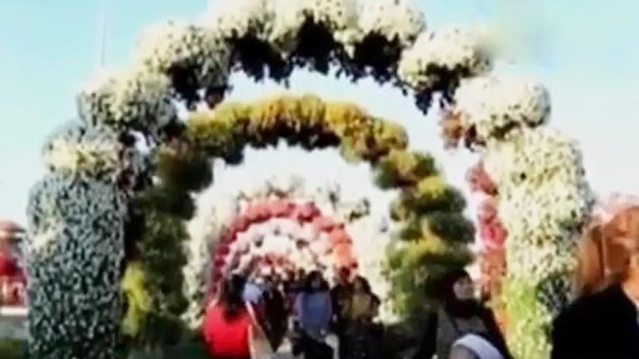 Dubai Miracle Garden 