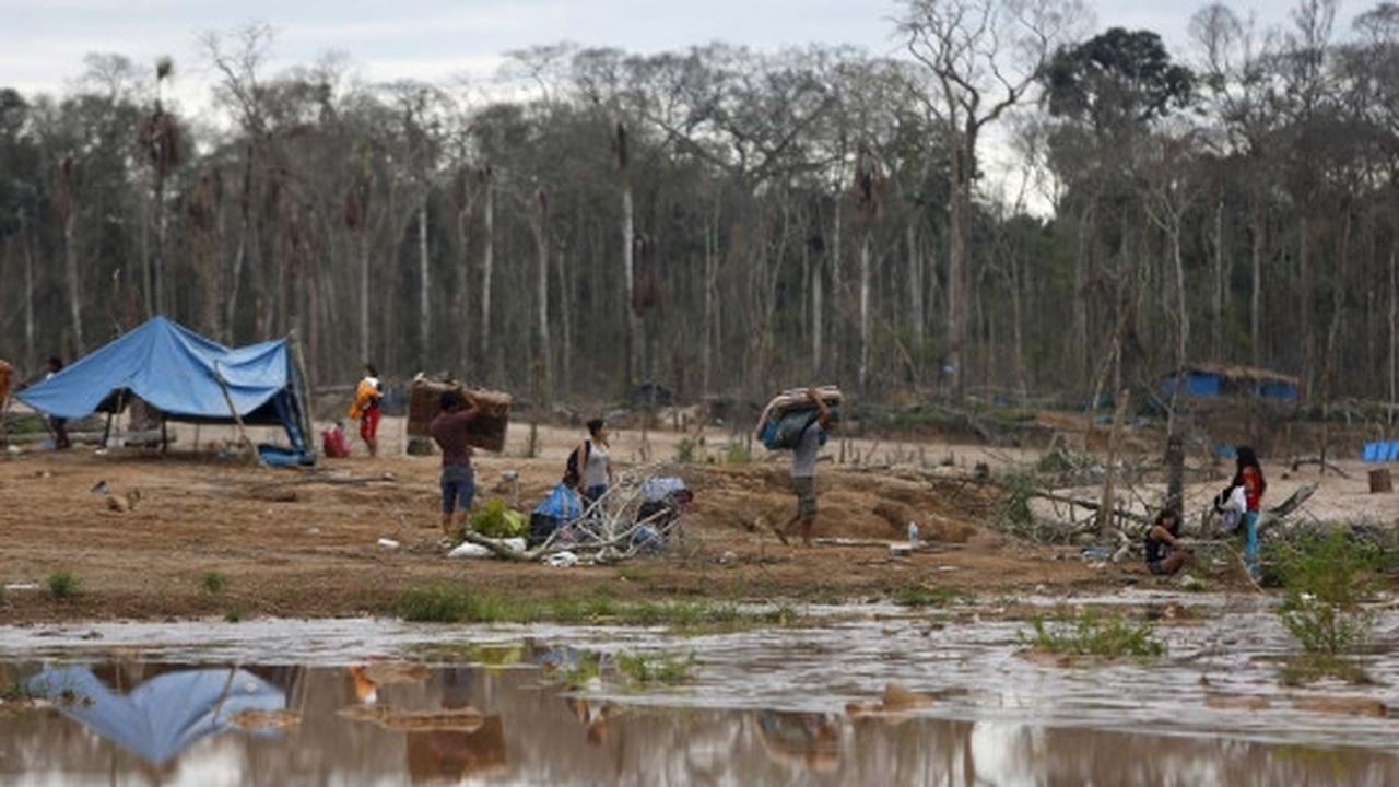 Kamp dibakar polisi, penambang liar di Peru tinggalkan Hutan Amazon