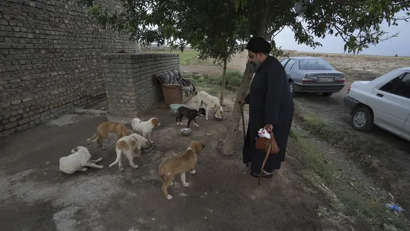 Ulama Syiah di Iran Pelihara dan Rawat Anjing Jalanan hingga Sehat Kembali