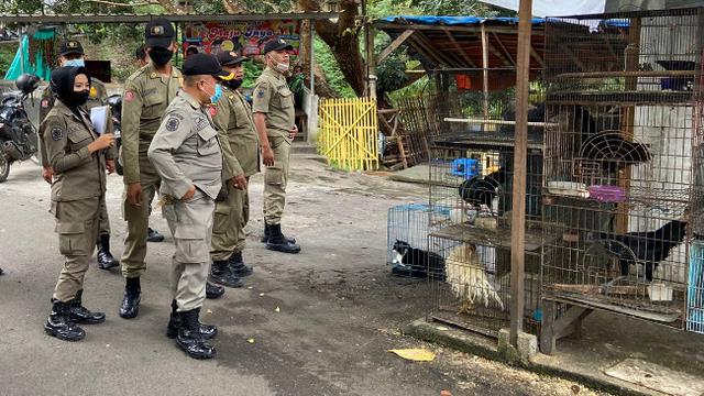 Muncul Petisi Selamatkan Kucing di Pasar Splendid, Ini Respon Pemkot Malang