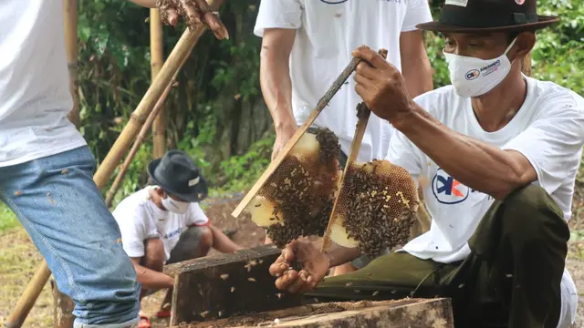 Peternak lebah hutan yang tergabung dalam Kelompok Tani Hutan (KTH) Alam Roban di Desa Kedawung, Batang, Jawa Tengah