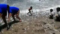 Ikan-ikan berloncatan dari laut ke tepi pantai.